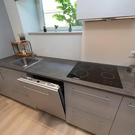 Roosikrantsi Apartamento *