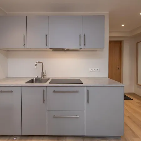 Roosikrantsi Apartment Reval