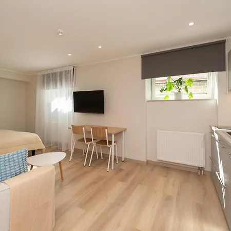 Roosikrantsi Apartment *