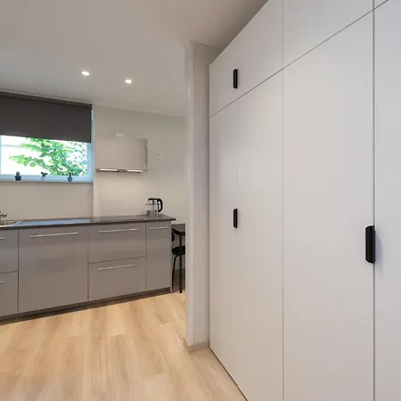 Roosikrantsi Apartment *