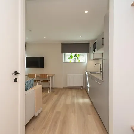 Roosikrantsi Apartamento