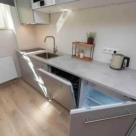 Roosikrantsi Apartment *