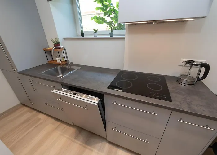 Roosikrantsi Apartment *