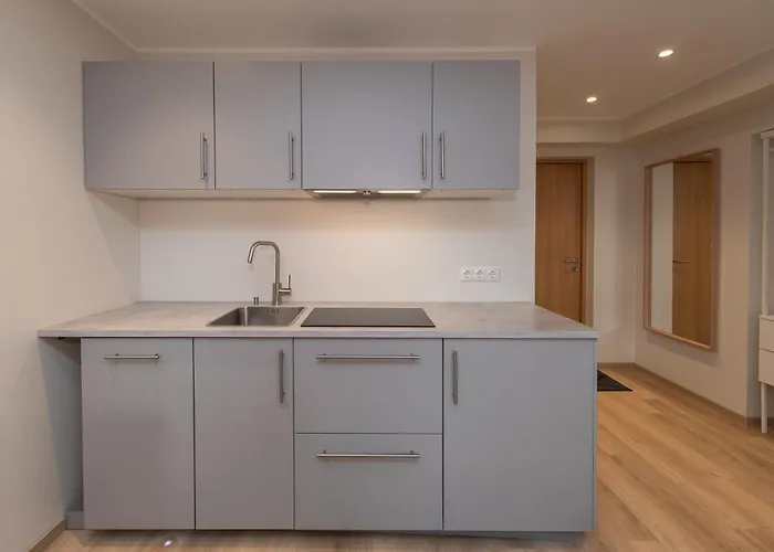 Roosikrantsi Apartment Tallinn