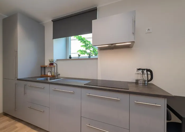 Roosikrantsi Apartment Tallinn